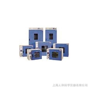 一恒鼓风干燥箱DHG-9070（A）（101-1）